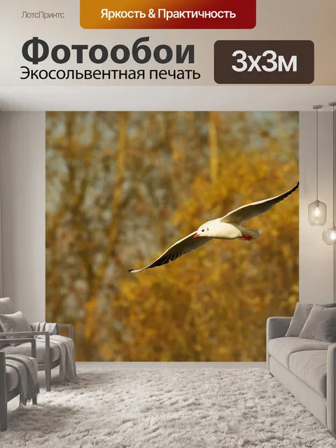 Фотообои Птицы
