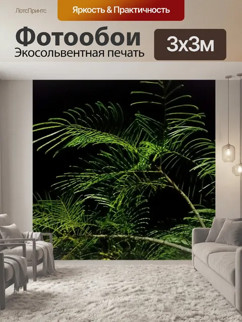 Фотообои Ночь