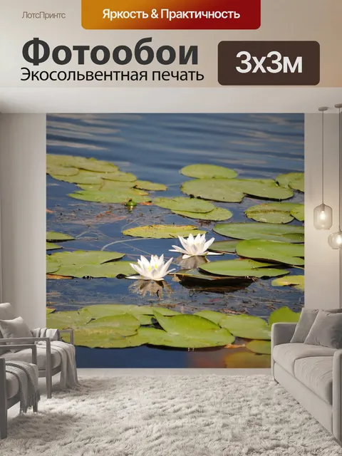 Фотообои Озеро