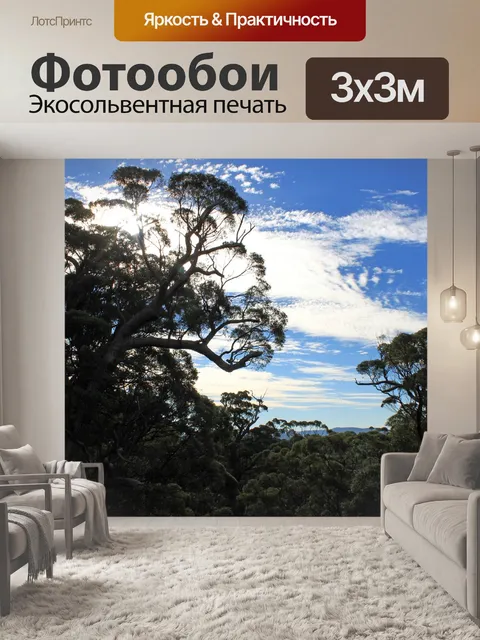 Фотообои Лес