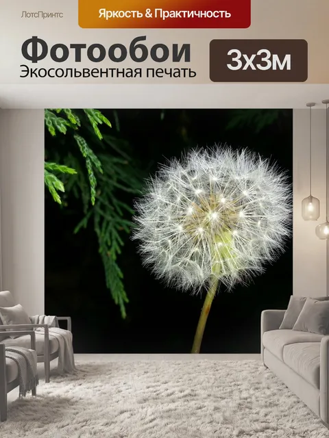 Фотообои Одуванчик
