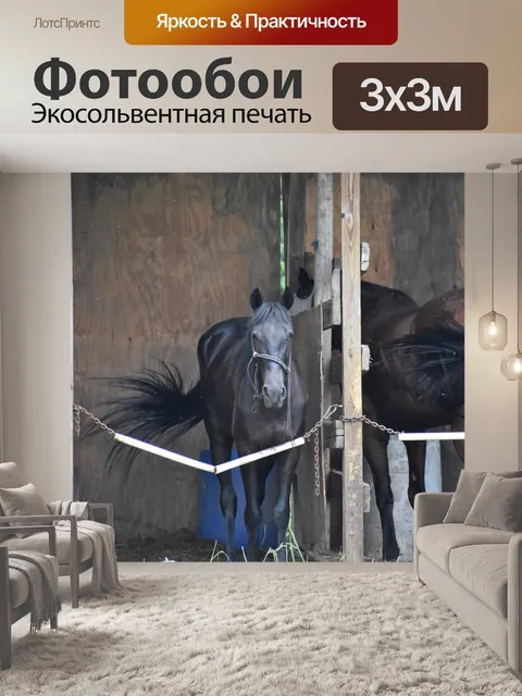 Фотообои Лошади