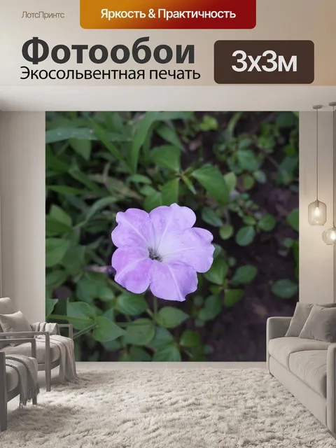 Фотообои Цветы