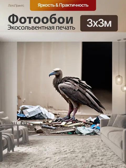 Фотообои гриф, фотографируемый крупным планом на фоне недостроенного здания с мусором внизу