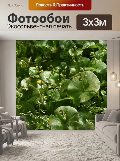Фотообои Влажные зеленые листья