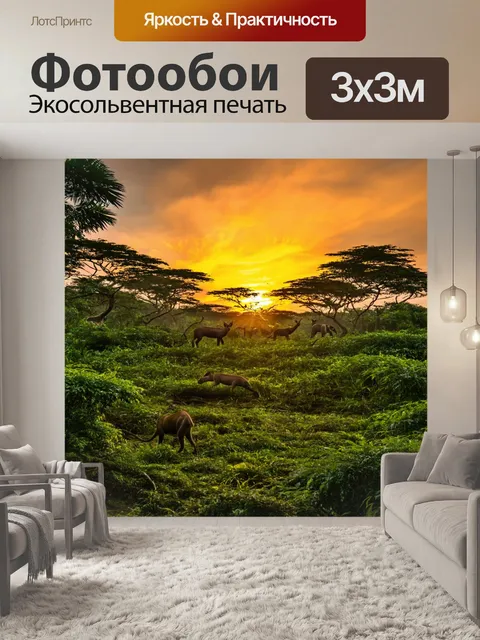 Фотообои закат в джунглях, когда небо наполняется цветами, а животные начинают активность