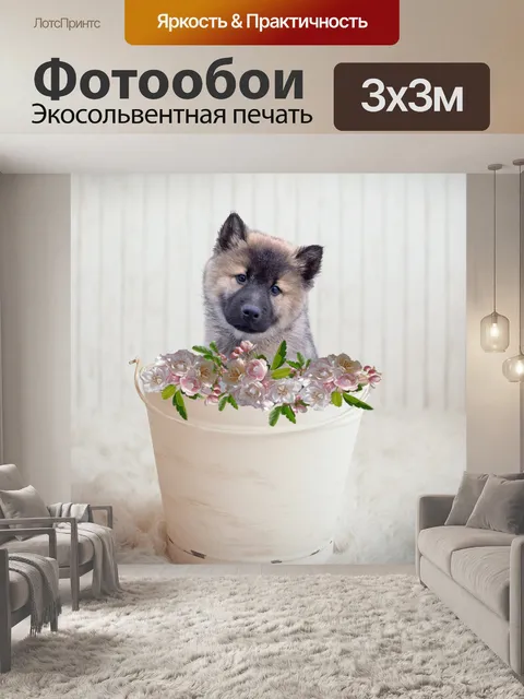 Фотообои Щенок