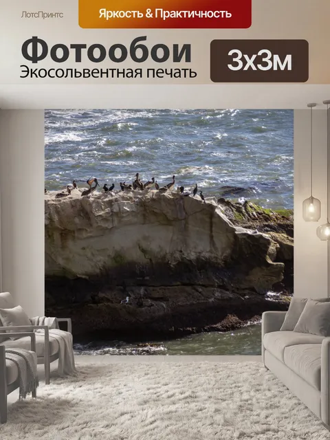 Фотообои Пеликаны на скале