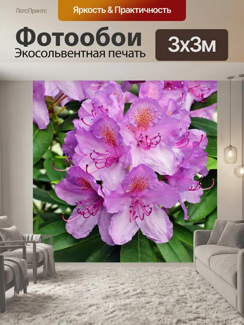 Фотообои Цветы