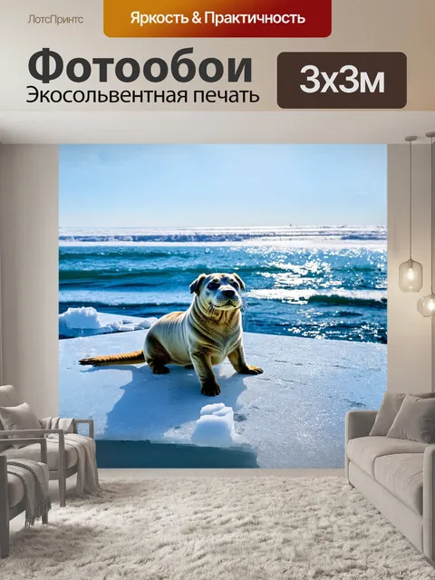 Фотообои на ледяной площадке собака-тюлень наслаждается солнечным днем