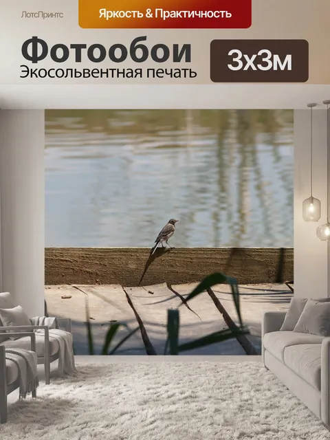 Фотообои Птица