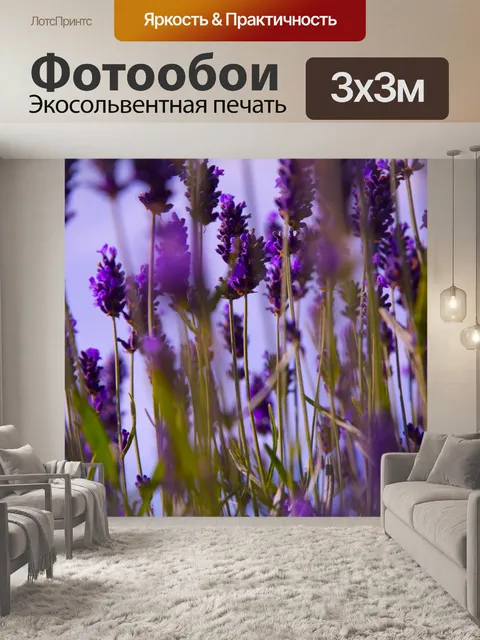 Фотообои Цветок лаванды