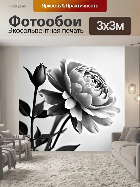 Фотообои пионы в стиле минимализм