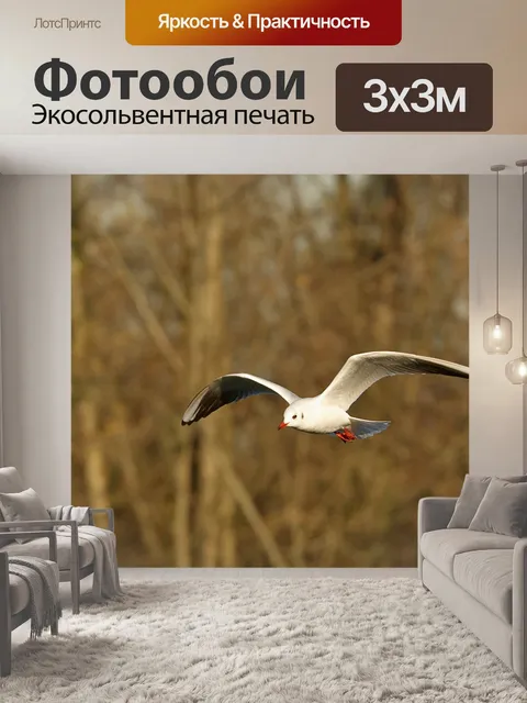 Фотообои Птицы