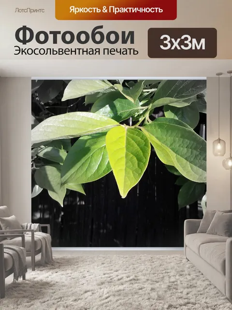 Фотообои Прикосновение цвета