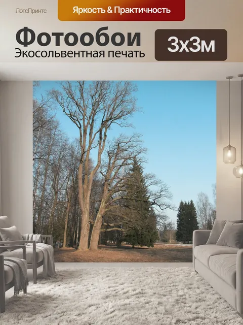 Фотообои Небо