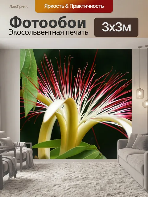 Фотообои Цветок