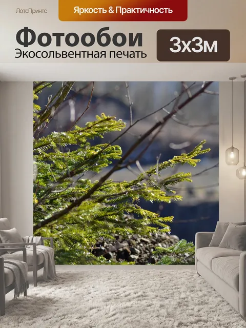 Фотообои Ель