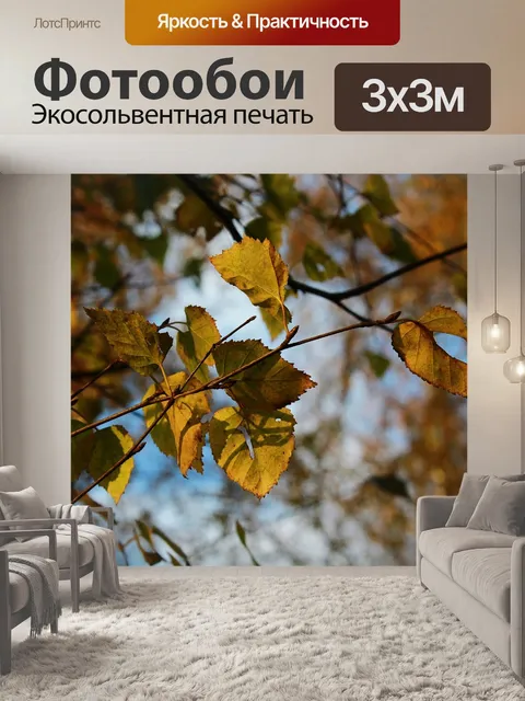 Фотообои Листья