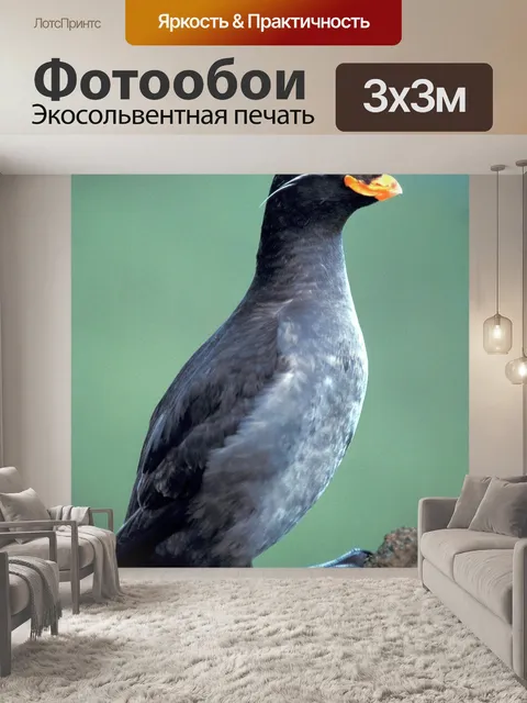 Фотообои Камень