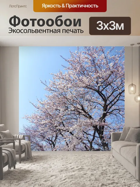 Фотообои Сакура