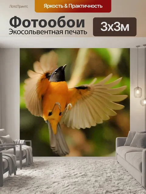 Фотообои Птица