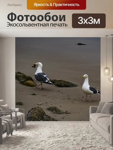 Фотообои Чайка