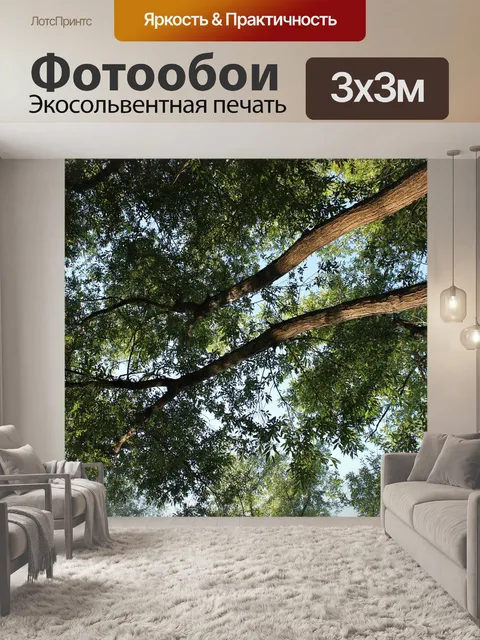 Фотообои Деревья