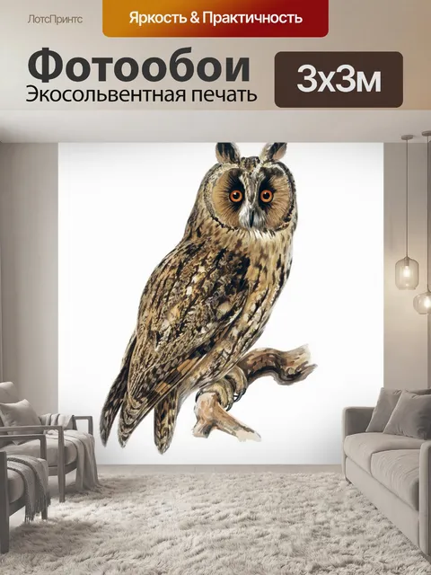 Фотообои Сова старинный плакат старый