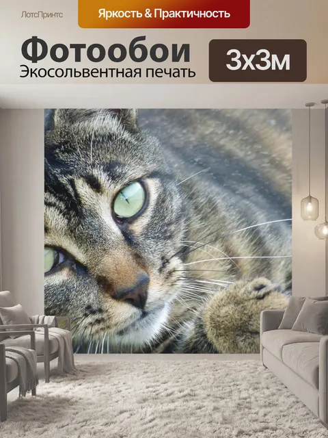 Фотообои Кошка