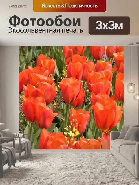 Фотообои Ряд ярко-оранжевых тюльпанов