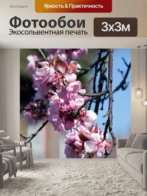 Фотообои Цветут цветы Розовый
