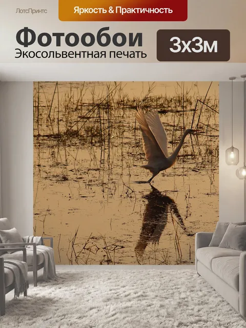 Фотообои Аист