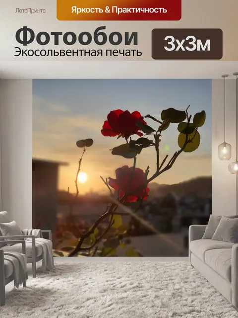 Фотообои Заход солнца