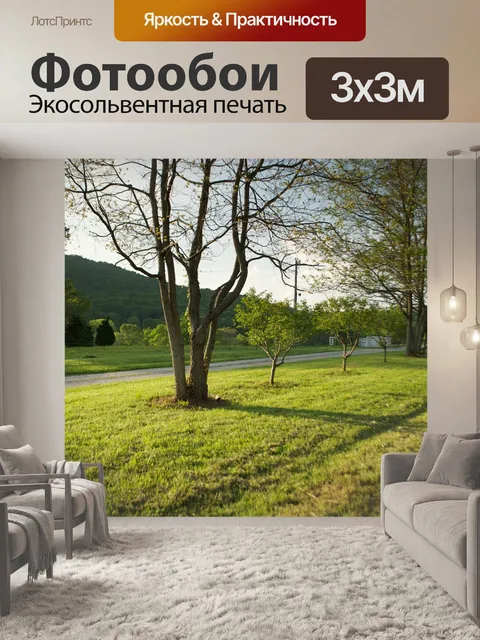 Фотообои Деревья