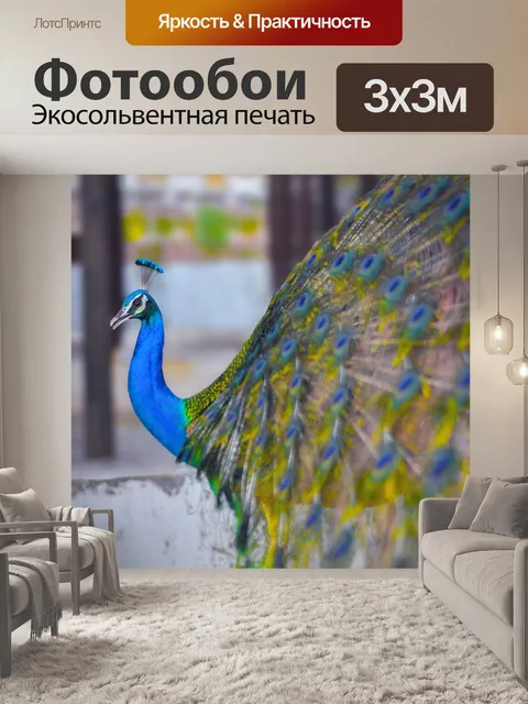 Фотообои Павлин