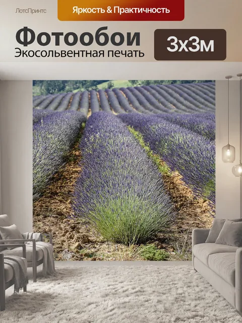 Фотообои Лаванда