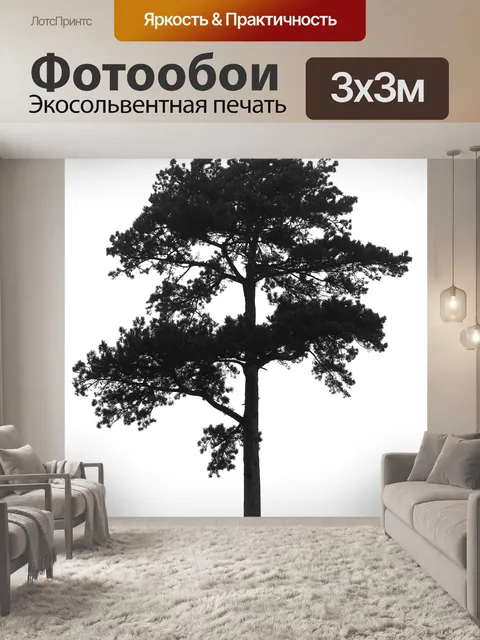 Фотообои Сосна