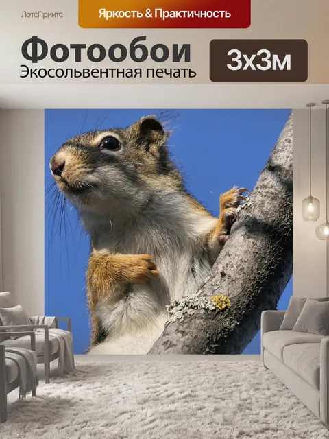 Фотообои Лес