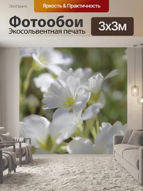 Фотообои Цветы