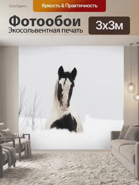 Фотообои Лошадь