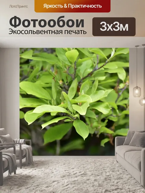 Фотообои Листья