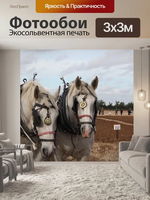 Фотообои Лошади