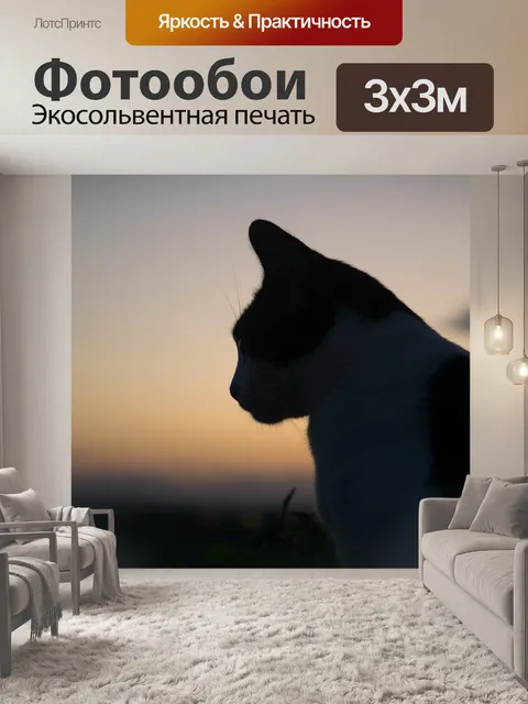 Фотообои Кот