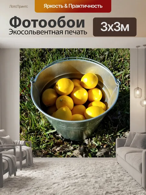 Фотообои Лимон ведро