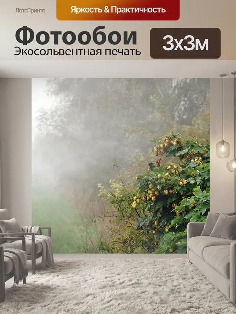 Фотообои Прыгать