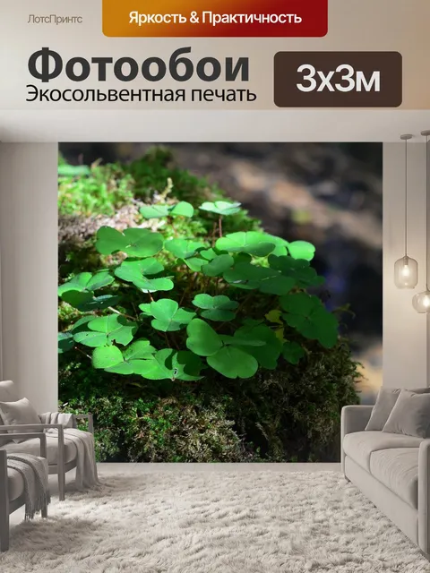 Фотообои Лес