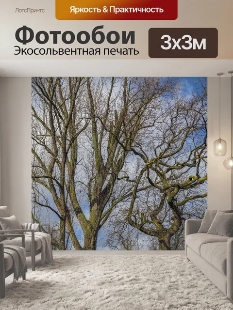 Фотообои Небеса