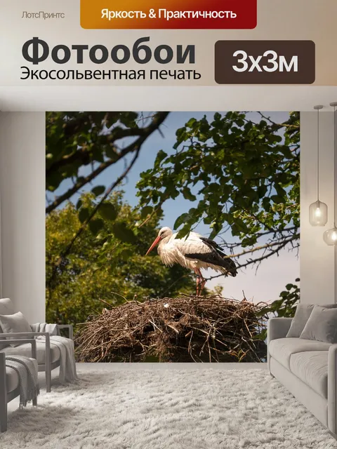 Фотообои Аист