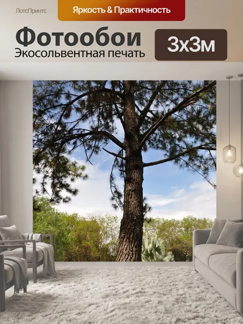 Фотообои Сад